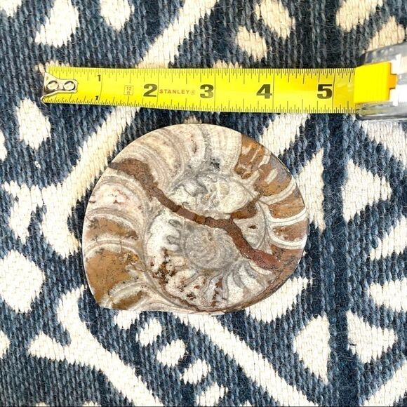 Snail  Ammonites fossil canvas print - Picture 4 of 8